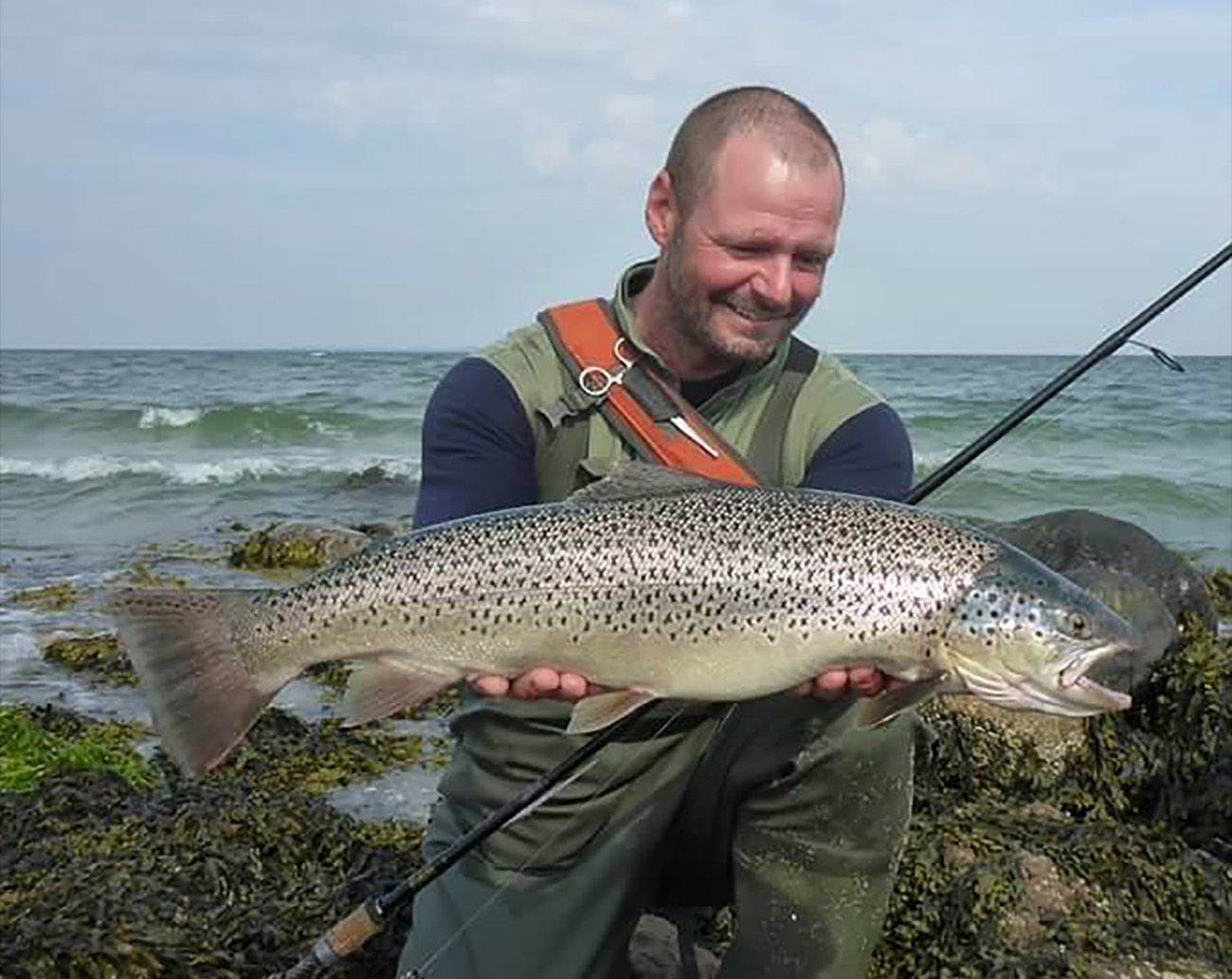 OGP Henrys Sömmet Classic 16 gr - Presentpack